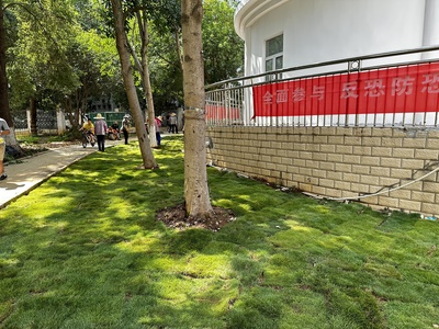 武漢經(jīng)開區(qū)佳泰社區(qū):花壇"微改造"改出幸福感