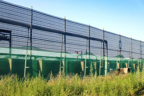 香江萬(wàn)基 環(huán)保大整改 有贊更有賺