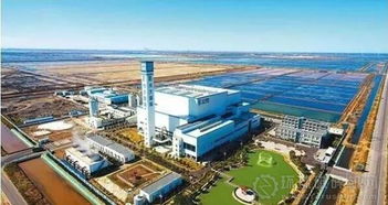 鹽堿地上的園林式工廠 濰坊市垃圾焚燒發(fā)電項(xiàng)目