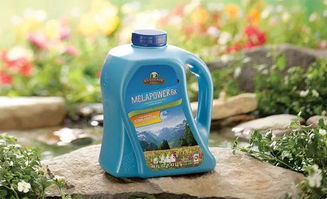 全球同步 讓洗衣成為全家人的樂趣