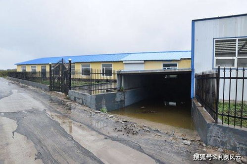 吉林梨樹縣 環(huán)保項(xiàng)目被撂荒 堆肥處理廠變 糞便堆放場(chǎng)